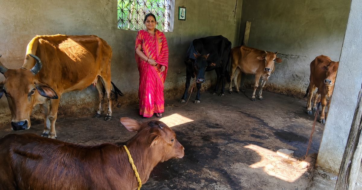 महिला सशक्तिकरण की मिसाल: दुग्ध उत्पादन से आत्मनिर्भर बनीं आनंदपुर की सुषमा देवी, अब ग्रामीण महिलाओं के लिए बनीं प्रेरणा
