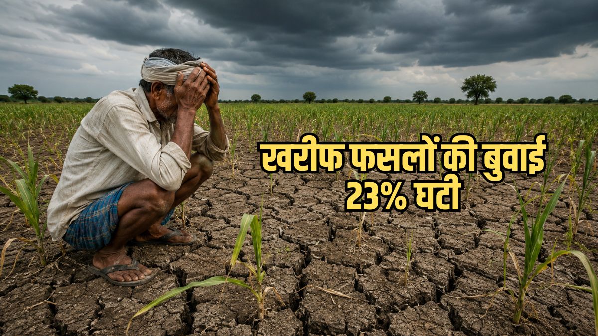 Weak monsoon puts farming at risk Kharif crop (1)