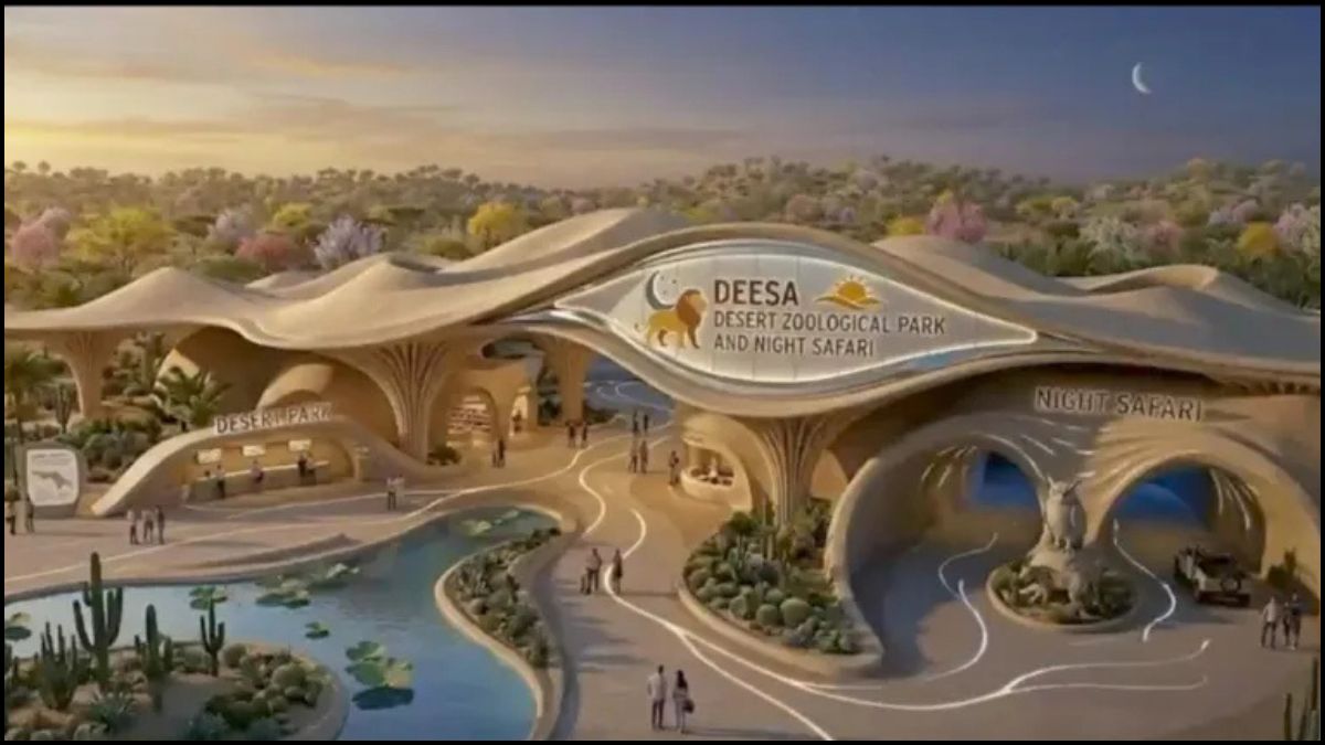 Deesa Night Safari