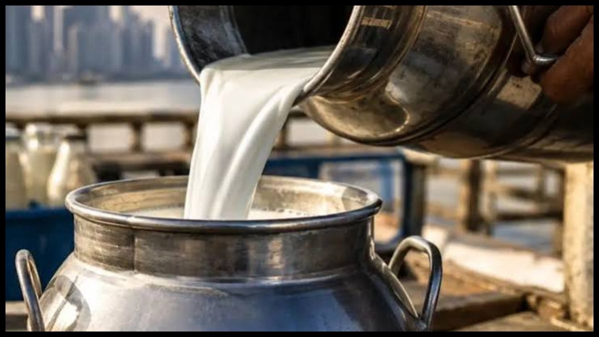 मुंबई में फिर बढ़ा महंगाई का बोझ, 1 सितंबर से महंगा होगा दूध; जानें नई कीमत