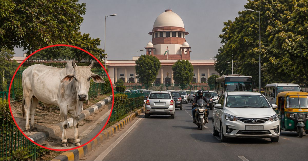 Supreme Court on Stray Cattle: सड़कों पर घूमते मवेशियों से हादसों पर SC सख्त, राज्यों को दिए कार्रवाई के निर्देश