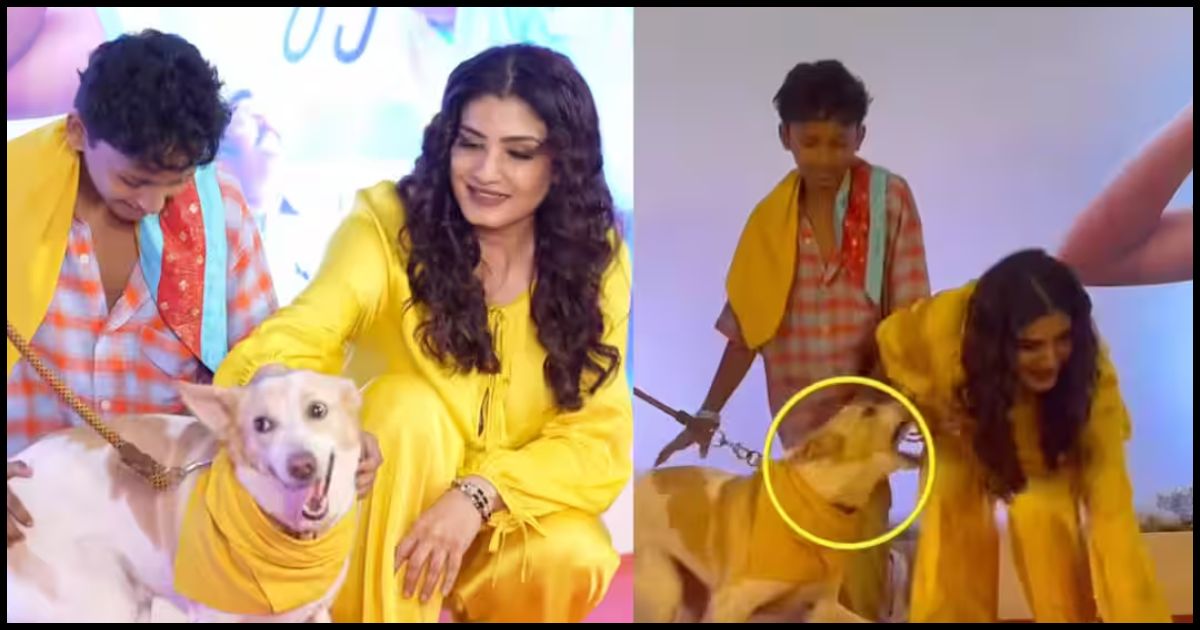 Red Carpet पर Raveena Tandon के साथ हुआ चौंकाने वाला वाकया, कुत्ते ने पकड़ ली ड्रेस; एक्ट्रेस ने दिखाई गजब की समझदारी