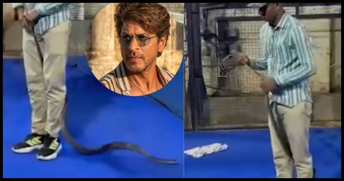 Shah Rukh Khan के ‘Mannat’ में घुसा 8 फीट लंबा सांप, मचा हड़कंप; सुरक्षित किया गया रेस्क्यू