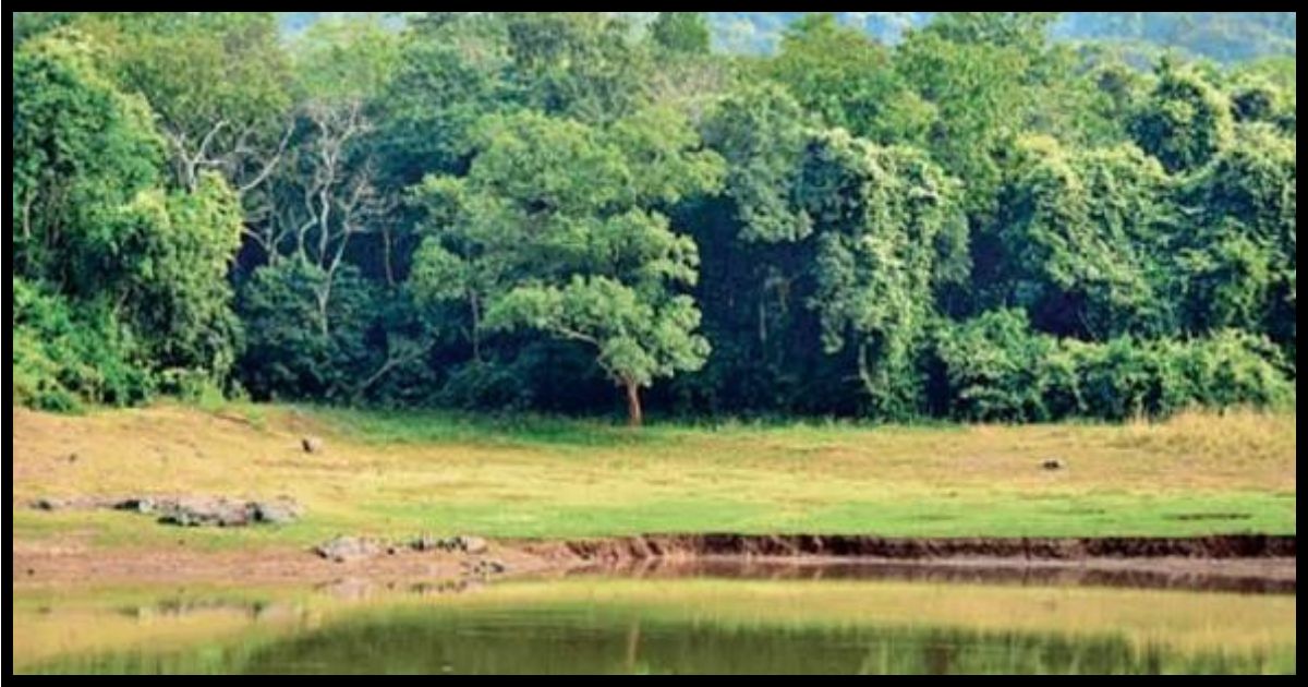 जंगल, जल और जमीन हमारी सबसे बड़ी धरोहर : जोबा माझी