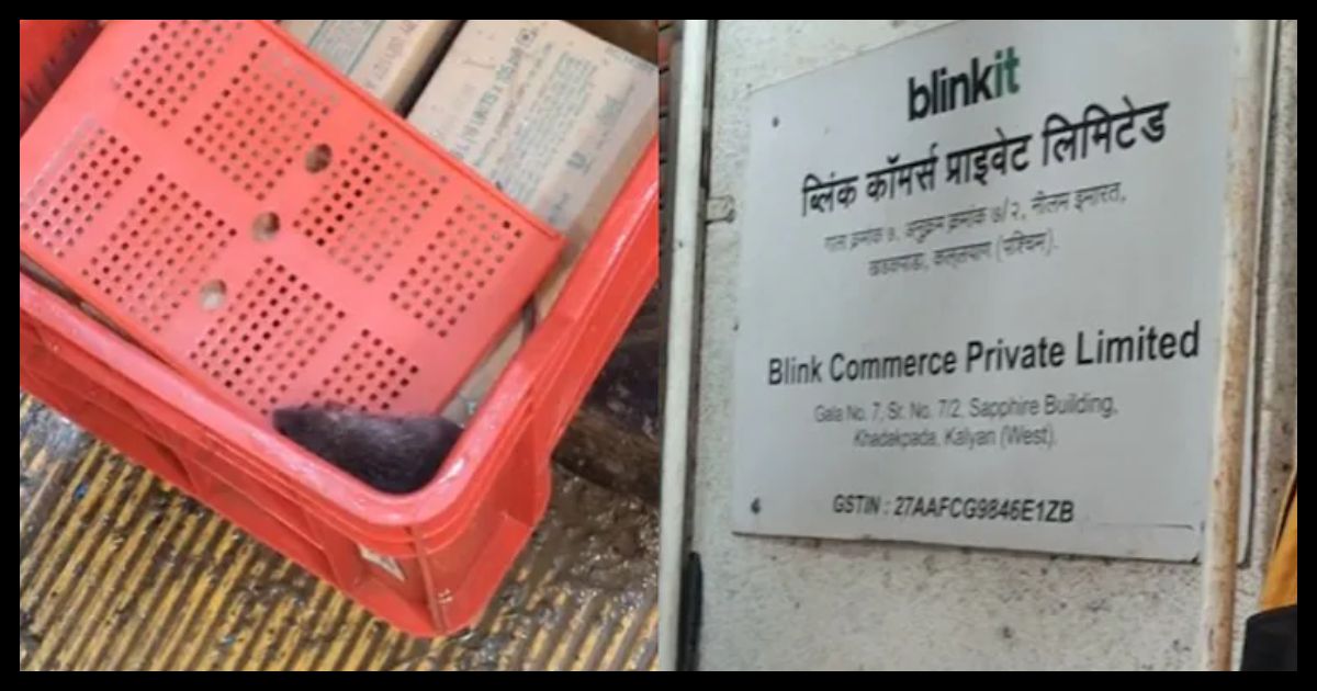 मुंबई में कॉकरोच के बाद अब Blinkit के आइसक्रीम फ्रीजर में दिखा चूहा, वायरल वीडियो से मचा हड़कंप