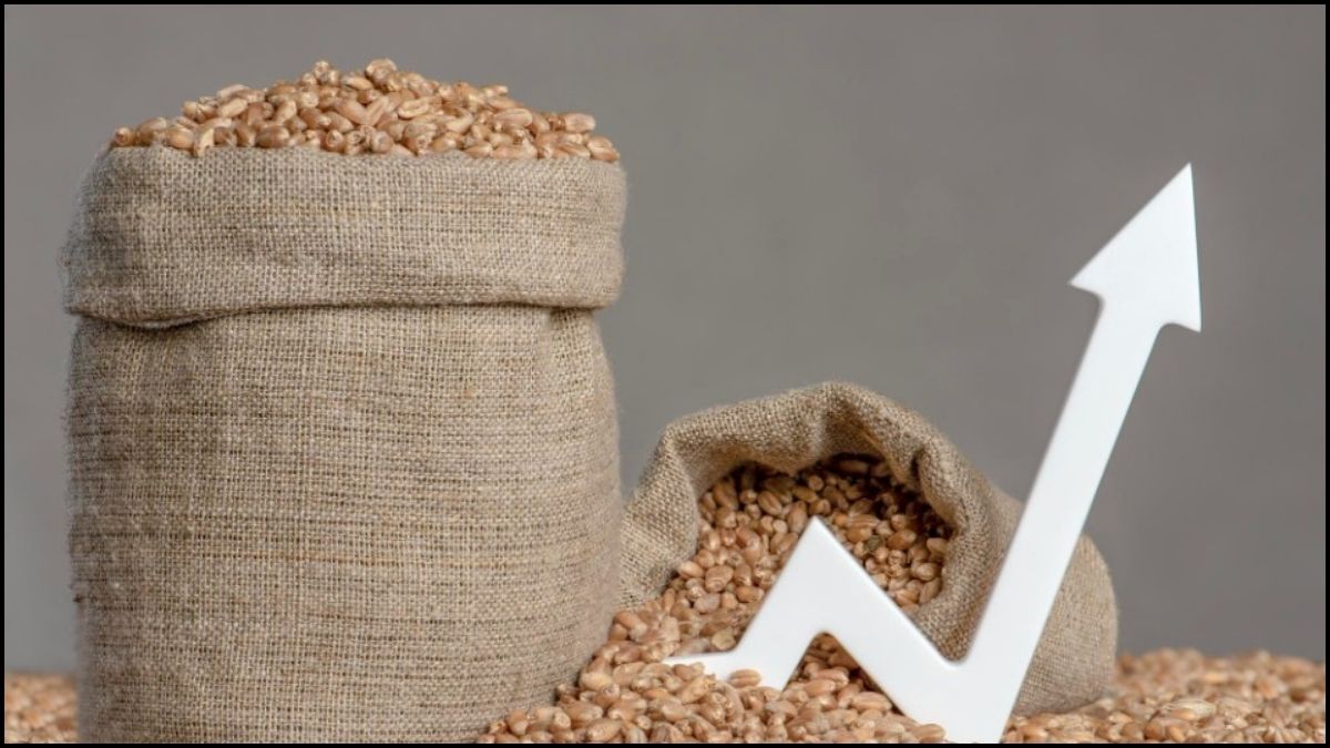 Wheat Price Hike