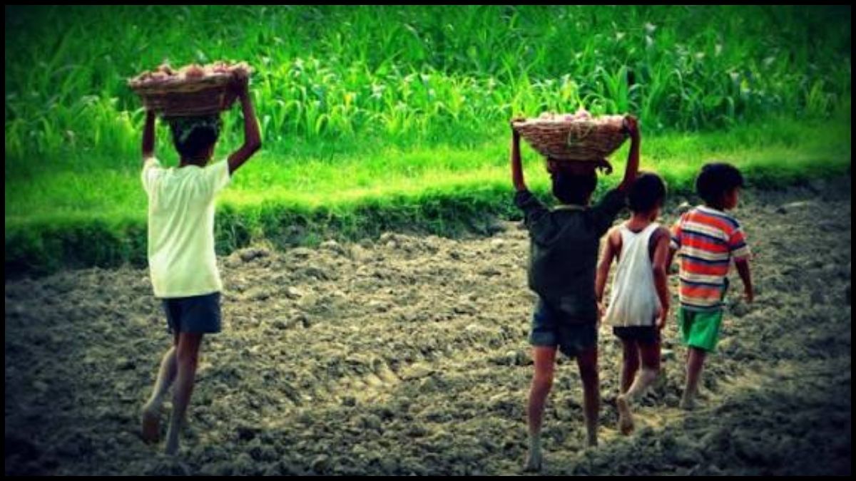 कर्नाटक में बाल मजदूरी के खिलाफ बड़ी कार्रवाई, 800 बच्चे कराए गए मुक्त