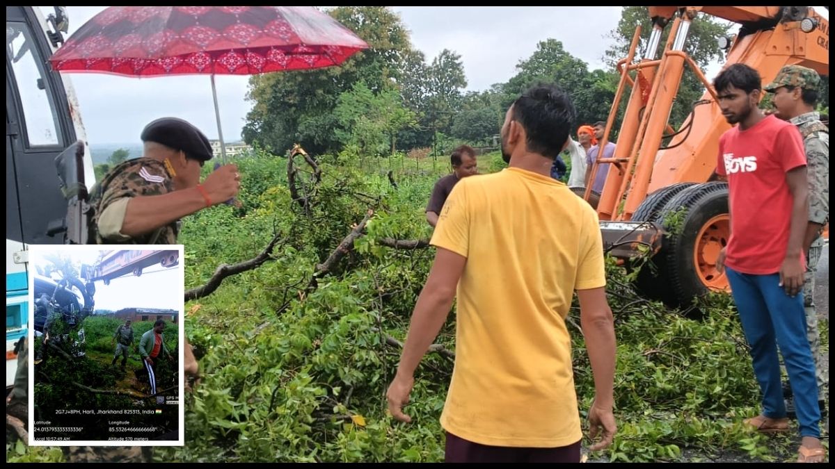 दारू के हरली में बस और बाइक पर गिरा पेड़, हादसे में बाइक चालक घायल