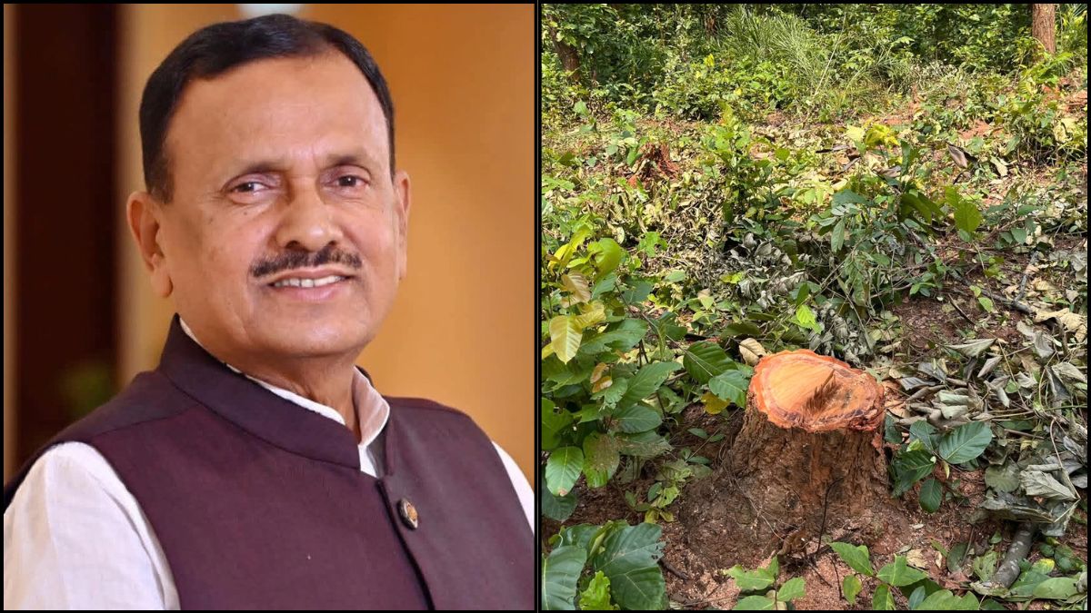 झामुमो राज में जंगल भी सुरक्षित नहीं : डॉ दिनेशानंद गोस्वामी