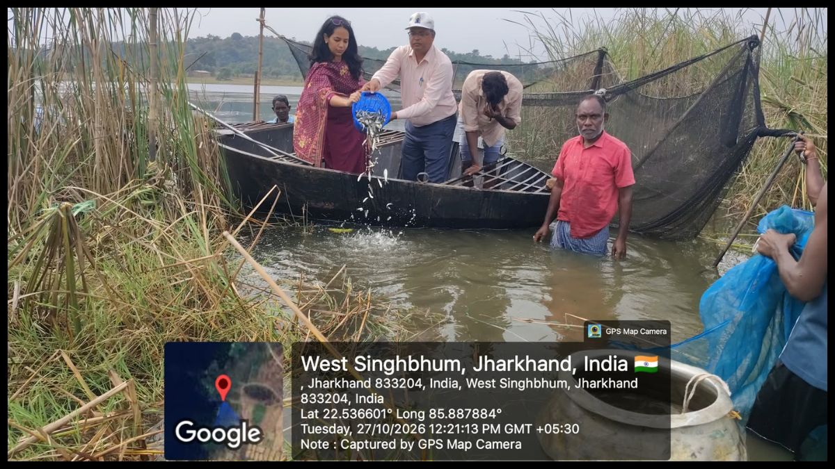 चाईबासा के मौदी डैम में छोड़ी गईं 90 हजार मछलियों की अंगुलिकाएं, मत्स्य उत्पादन को मिलेगा बढ़ावा